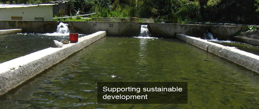 Apoyando el Desarrollo Sostenible